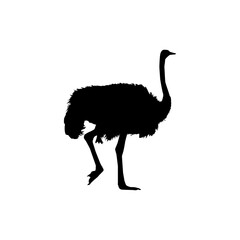 Ostrich Isolated Silhouette for Logo, Pictogram, Art Illustration or Graphic Design Element. Vector Illustration