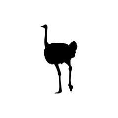 Ostrich Isolated Silhouette for Logo, Pictogram, Art Illustration or Graphic Design Element. Vector Illustration