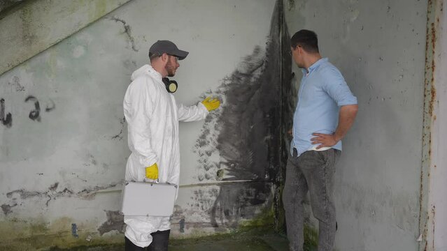 a customer and a mold exterminator disinfection service are talking against a background of black mold