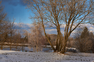 Blick über den Kleine Galgenteich in Altenberg im Winter zum Geising	