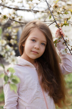 little girl near a flowering tree, trees bloom in spring, beautiful tree

