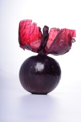 Purple onion on a white background.