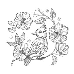BIRD HAND DRAWN Sits On A Branch With Blooming Flowers Monochrome Hand Drawn Sketch In Chinese Style Coloring Page Nature Vector Illustration For Print