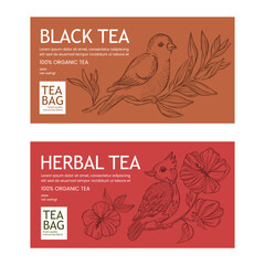 BLACK AND HERBAL TEA In Vintage Style Contemporary Design Of Packaging With Birds On Branch And Blossom Flowers Printable Vector For Modern Typography