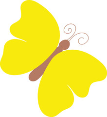 Vector of the colorful butterfly 