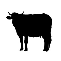 Cow silhouette - vector illustration