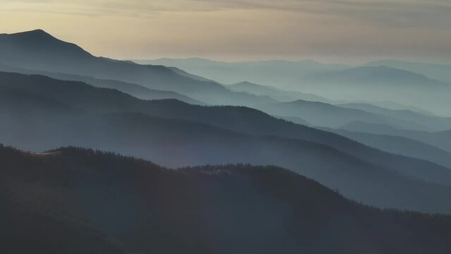 Aerial panorama of the beautiful smoky mountains in sunset light and flying bird, Carpathians mountains, Romania
