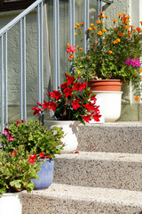 Treppenstufen mit Blumenkübeln, Deutschland