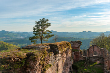 Blick auf die Burgruine Neuscharfeneck im Naturpark Pfälzer Wald. Flemingen in Rheinland-Pfalz in Deutschland