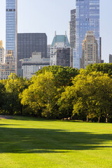 Manhattan skyscrapers and Central Park