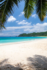 Obraz na płótnie Canvas Tropical beach with palm trees