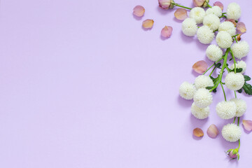 Fototapeta na wymiar beautiful flowers on purple paper background