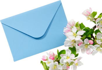 Blue envelope with wedding invitation card or birthday letter decorated with branch of blossom apple tree, isolated. Flat lay. Top view.