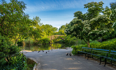 Gapstow Bridge in Central Park