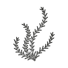 seaweed flat vector cartoon illustration on white background