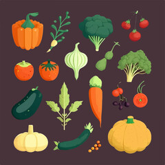 Vector vegetable collection with realistic and detailed illustrations