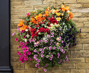 A hanging basket of mixed colourful flowers brightens up a wall and announces summer is here