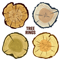 Round colorful tree trunk cuts, sawn pine or oak slices, lumber. Saw cut timber, wood. Brown wooden texture with tree rings. Hand drawn sketch. Vector illustration