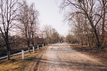 Wide road in the village with trees