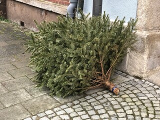 Abgeschmückter Weihnachtsbaum für Weihnachtsbaumsammlung am Straßenrand Sammelplatz