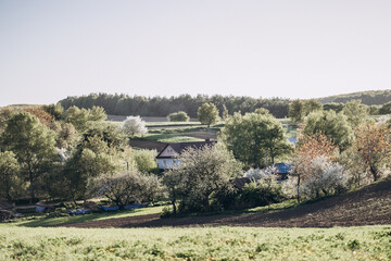 Spring morning in a blooming village