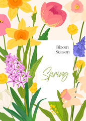 Spring floral wedding invitation card template. Tulip, Narcissus, Daffodil, Hyacinth, Muscari flowers bouquet on beige background. Botanical vector illustration