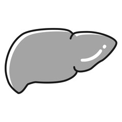 健康な肝臓のイラスト（白黒）