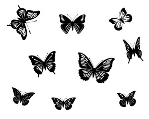 Beautiful collection of cute black butterflies