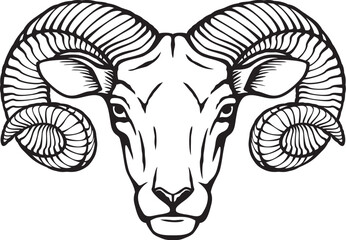 Ram Head Black and White. Vector Illustration.