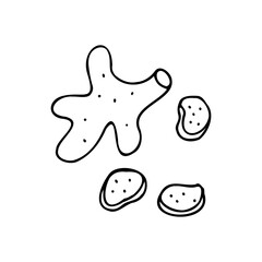 Ginger root. Perennial. Spice. Immunity booster product. Doodle. Vector illustration. Hand drawn. Outline.