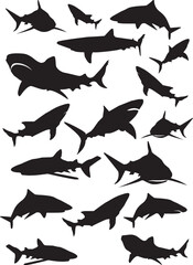 ryba, sylwetka, plik wektorowy, morski, zwierzak, ptactwo, ilustracja, rekin, charakter, delfin, ptactwo, dzika natura, oceanu, czarna, set, flying, kolekcja, zwierzak, akwarium, woda, orka, deseń, gr