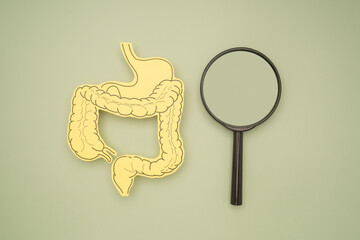Top view of an intestine symbol made from yellow paper and a magnifier on a green background