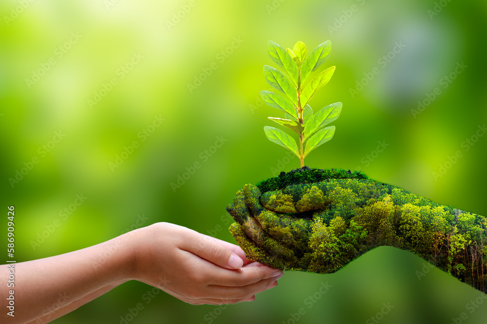 Wall mural concept save the world save environment the world is in the grass of the green bokeh background
