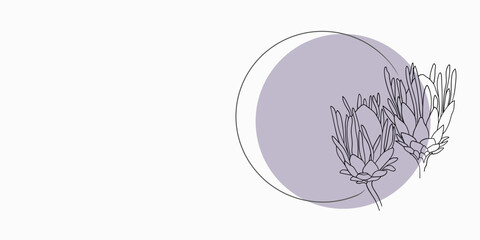 Fototapeta na wymiar Protea Flowers with purple circle shape on white background. Floral line art. Outline vector flowers. Wedding elegant continuous line drawing.