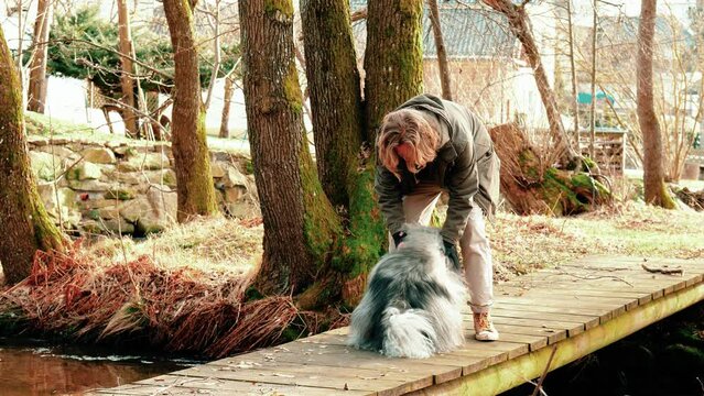 The young blond man is standing over his fluffy friend, a gray wolf spitz. He enjoys his complete attention. They are on a bridge under which there is a slowly flowing stream.