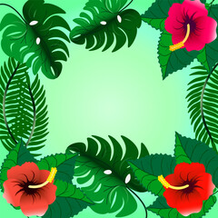 a frame of tropical leaves of monstera and palm trees, hibiscus leaves and flowers .