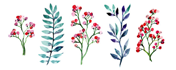 Leaves and berries on a branch, painted in watercolor on a white background. Watercolor branches with berries for decoration, design, templates