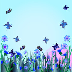 blue butterflies fly near the blue flowers of cornflowers.