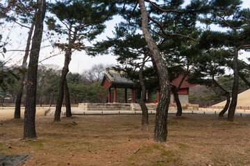 Seolleung and jeongneung royal tombs  from the Joseon dynasty during winter morning at Gangnam , Seoul South Korea : 4 February 2023