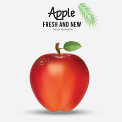realistic fresh red apple with drops with Vector Design 