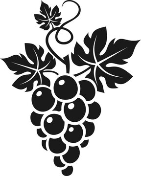 recommend clip art: Bunch of grapes with leaves. Vector black silhouette of grapes isolated on a white background
