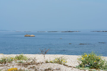 Cormorants and troughs in Ria de Arousa, Ribeira, A Coruña province, Galicia, Spain