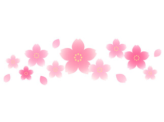 Naklejka na ściany i meble 桜の花のラインイラスト