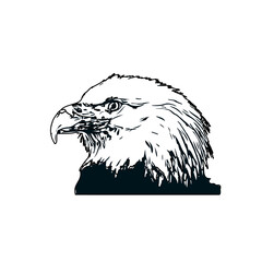 Black and white sketch of an eagle with transparent background
