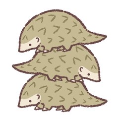 センザンコウのタワー