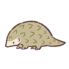 センザンコウのイラスト