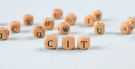 CIT written on a wooden cube , business concept
