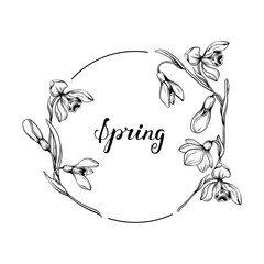 First spring flowers. Snowdrops vector graphic illustration. Delicate flowers circle frame for celebration design.