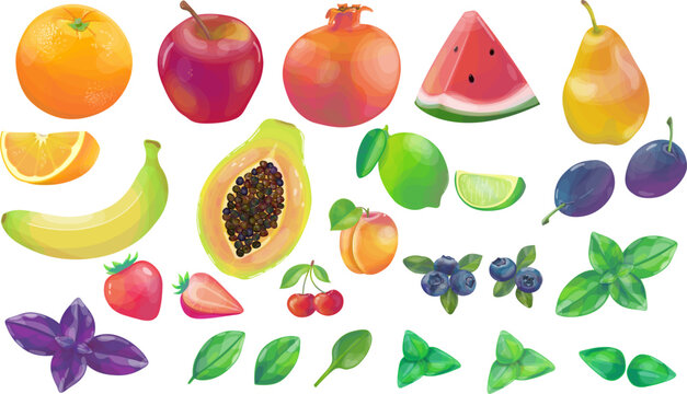 Bright fruits, berries, basil set