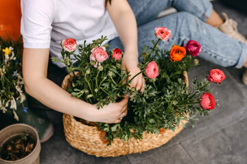 Fototapeta na wymiar Florist working at a flower shop. Woman taking care of us flowers, arranging them into a big basket.